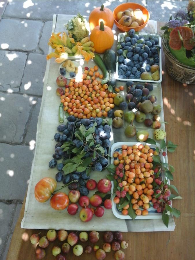 Bio&B Cascina Montebello Palazzago Zewnętrze zdjęcie