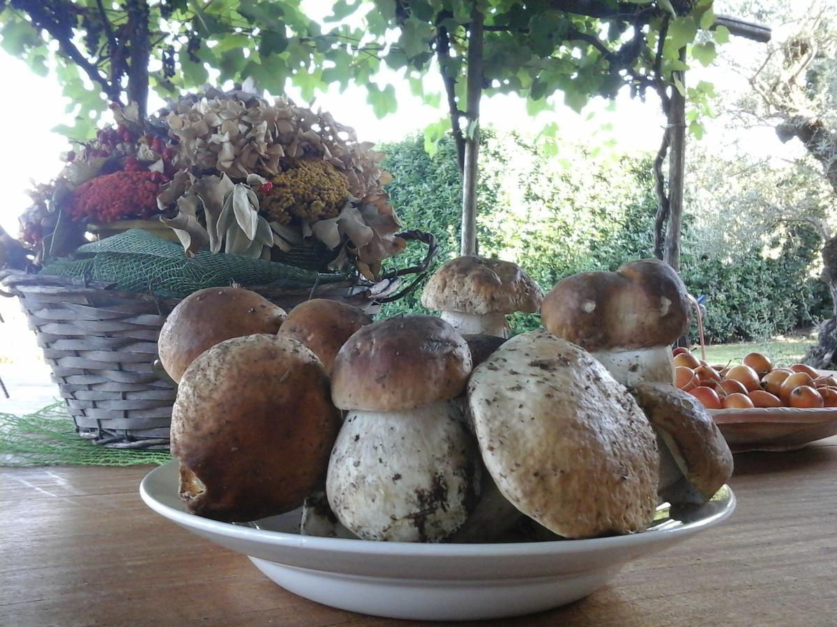 Bio&B Cascina Montebello Palazzago Zewnętrze zdjęcie